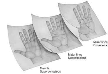 Cursus Chirologie of de kunst van Handen Lezen (handleeskunde)